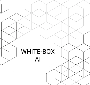 WhiteBox-AI Logo